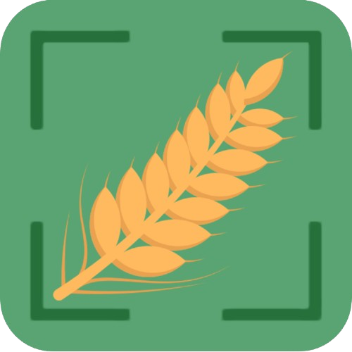 Mentes‑Okos